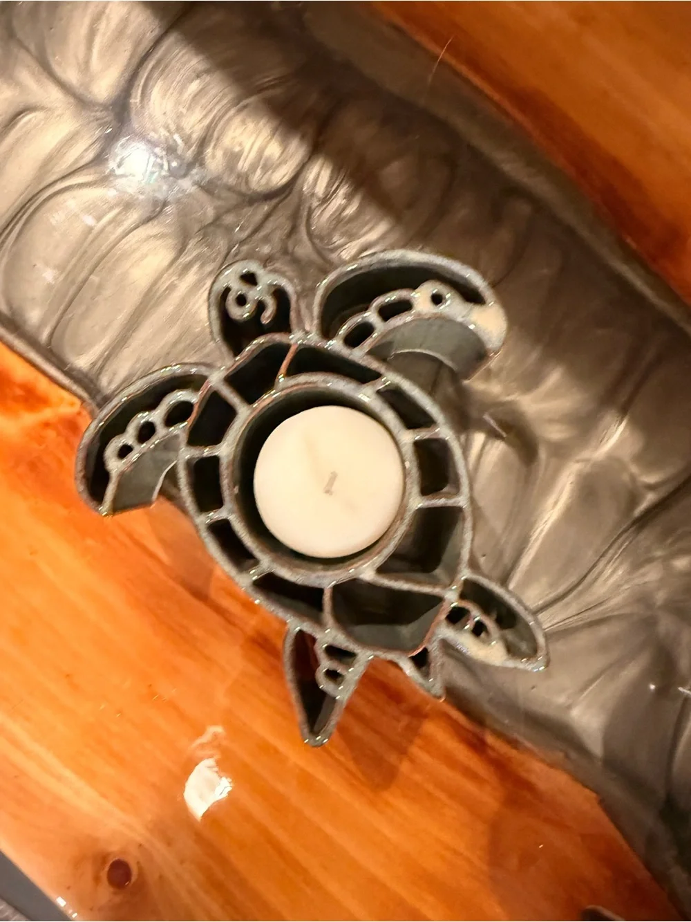 N/A charming turtle